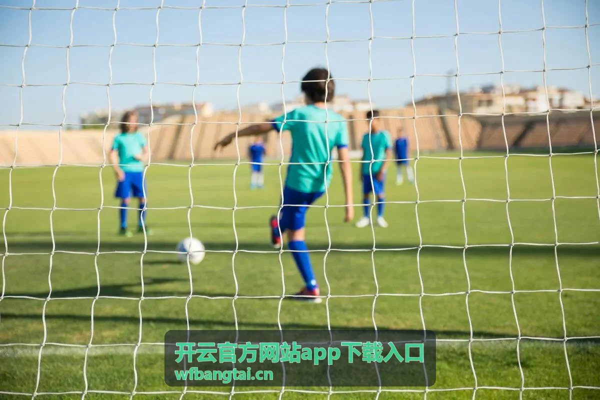 开云官方网站app下载入口安装中断后的重新下载处理