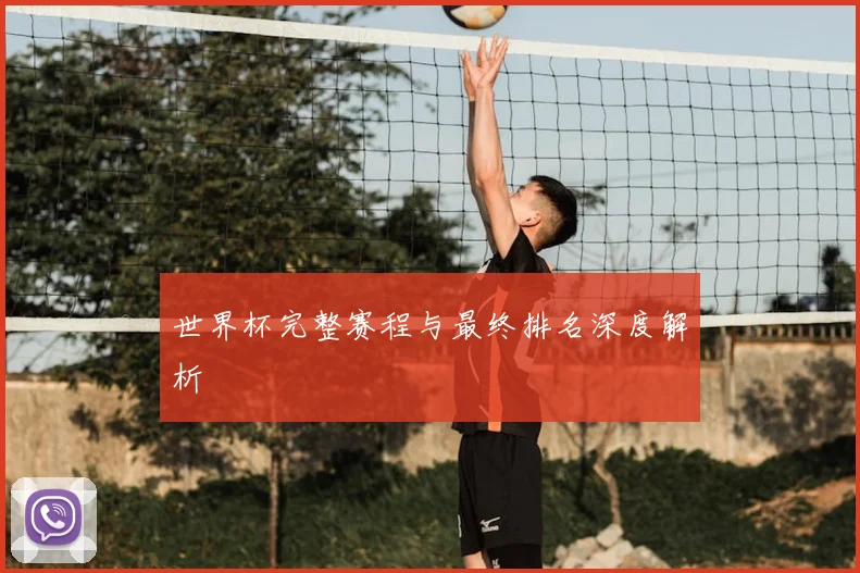 世界杯完整赛程与最终排名深度解析