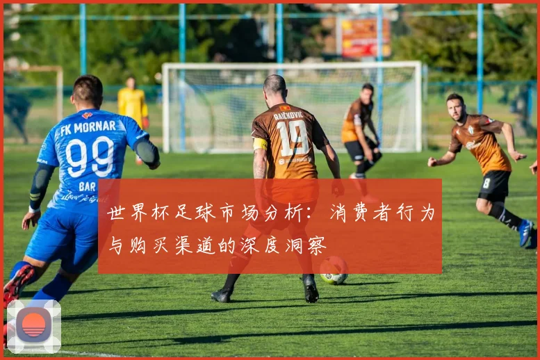 世界杯足球市场分析:消费者行为与购买渠道的深度洞察