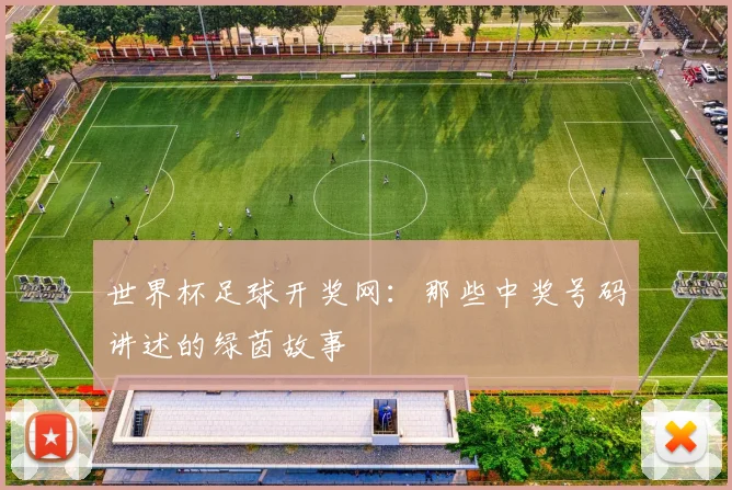 世界杯足球开奖网：那些中奖号码讲述的绿茵故事