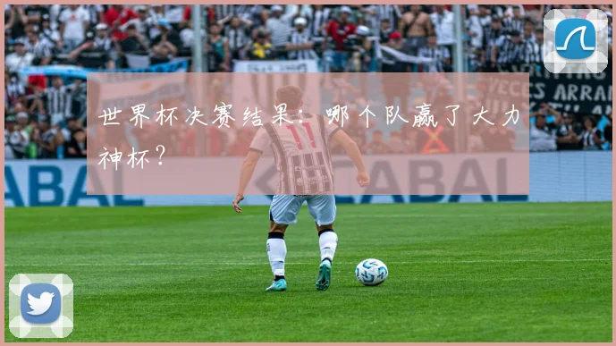 世界杯决赛结果:哪个队赢了大力神杯?