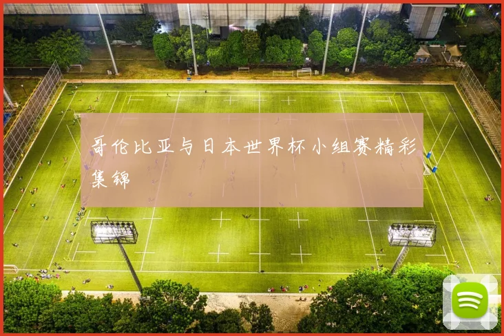 哥伦比亚与日本世界杯小组赛精彩集锦