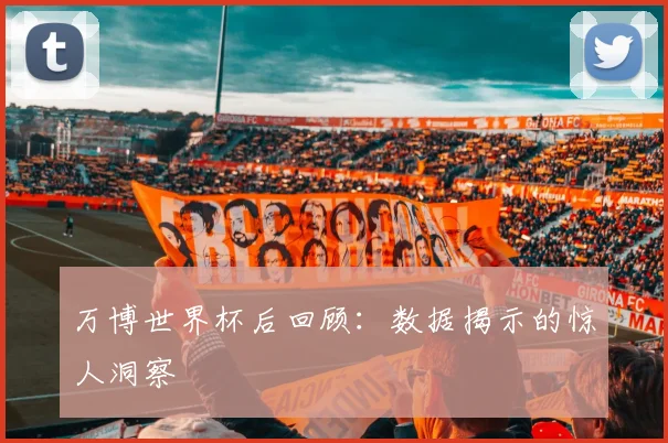 万博世界杯后回顾:数据揭示的惊人洞察